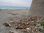 ferruzzano_  carogna_mare_rd_150